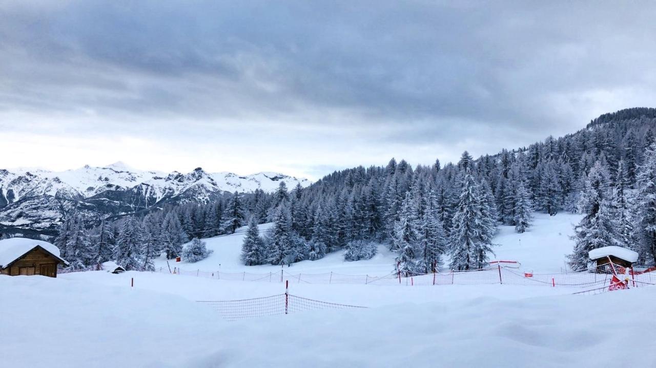Apartament Les Chalets Du Parc Aux Etoiles - Cimes Et Neige Puy-Saint-Vincent Zewnętrze zdjęcie